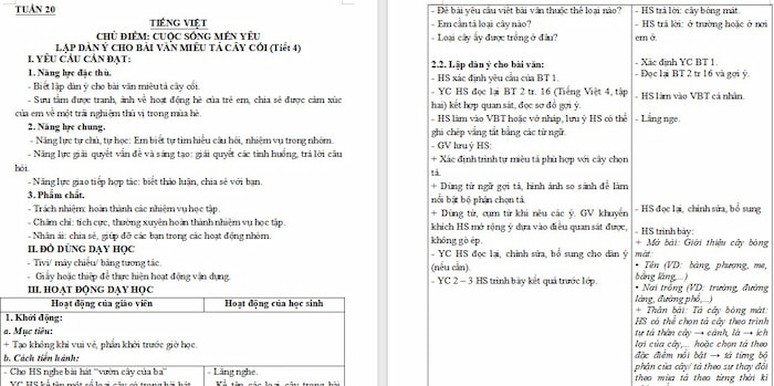 Giáo án Tiếng Việt 4 Lập dàn ý cho bài văn miêu tả cây cối