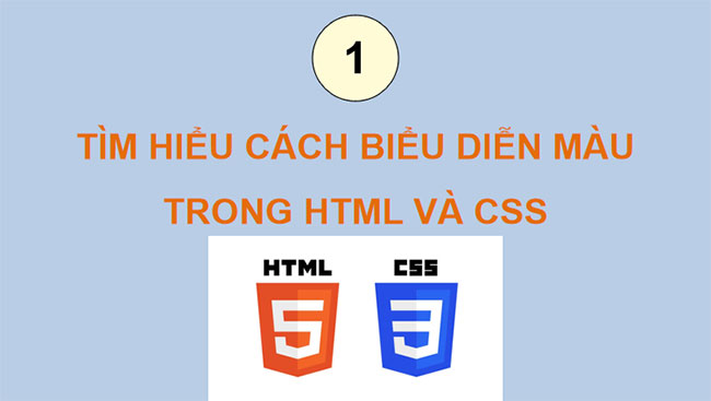 Tạo màu cho chữ và nền