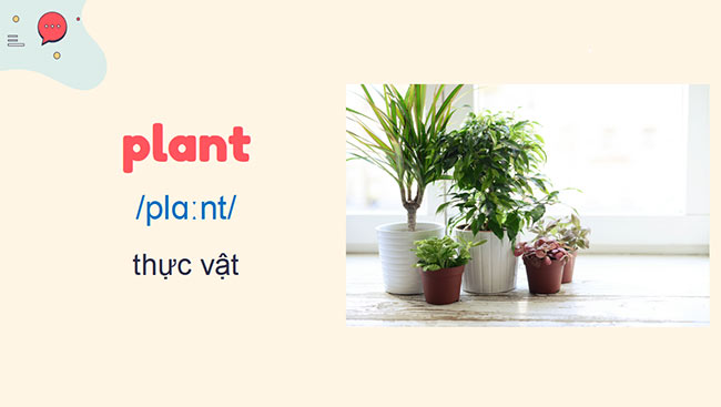 PowerPoint Tiếng Anh 6 Unit 7: Skills 1