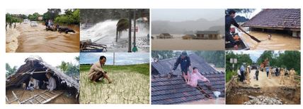 Giải Chuyên đề Địa 12 Chân trời sáng tạo: Tìm hiểu thiên tai ở địa phương