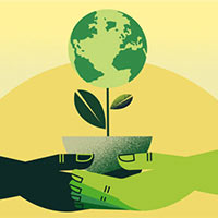 Giáo án Tiếng Anh 6 Unit 11: A Closer Look 1