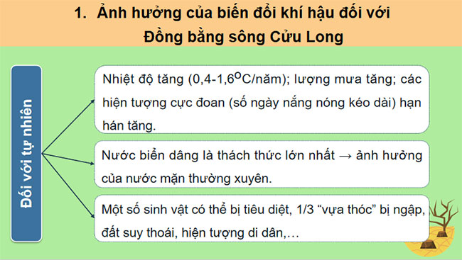 Thực hành Tìm hiểu ảnh hưởng của biến đổi khí hậu đối với Đồng bằng sông Cửu Long và các giải pháp ứng phó
