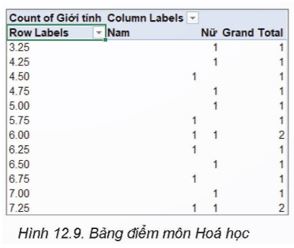 Bài 12: Mô tả số liệu bằng PivotTable