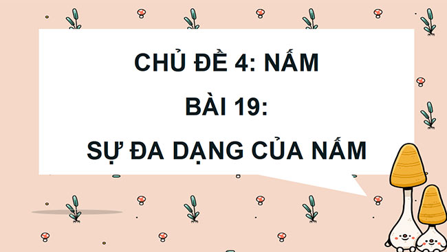 PowerPoint Khoa học 4 Chân trời sáng tạo học kì 2