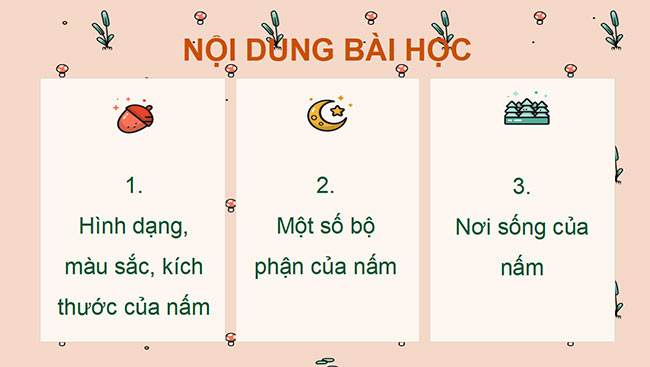 PowerPoint Khoa học 4 Chân trời sáng tạo học kì 2
