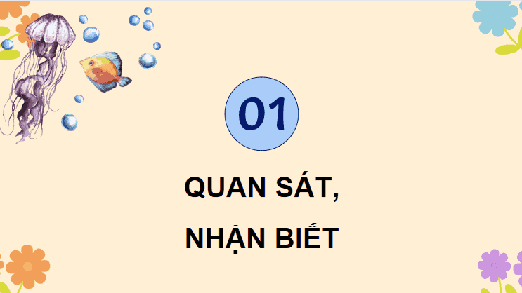 PowerPoint Mĩ thuật 5 Cánh diều Học kì 2