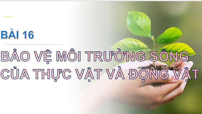 Tự nhiên và xã hội 2 Chân trời