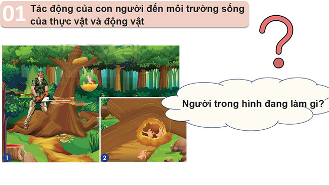 Tự nhiên và xã hội 2 Chân trời