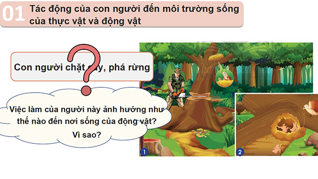 Tự nhiên và xã hội 2 Chân trời