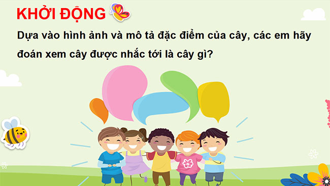 PowerPoint Tự nhiên và xã hội 3 Chân trời sáng tạo học kì 2