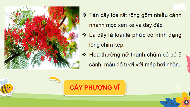 PowerPoint Tự nhiên và xã hội 3 Chân trời sáng tạo học kì 2