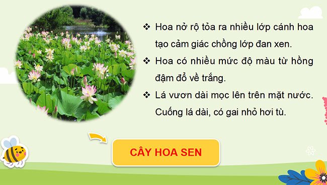 PowerPoint Tự nhiên và xã hội 3 Chân trời sáng tạo học kì 2