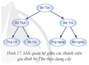 Giải Chuyên đề Tin học 12 Cánh diều bài 1: Giới thiệu cây nhị phân