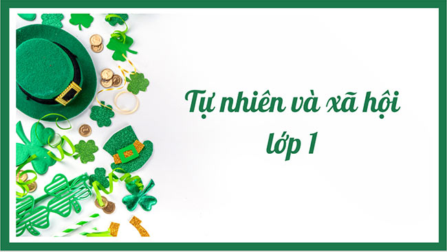 Giáo án PowerPoint Tự nhiên và xã hội 1 Cánh diều