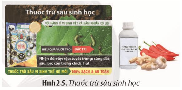 Giải Chuyên đề Sinh học 11 Chân trời sáng tạo bài 2