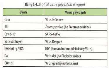 Giải Chuyên đề Sinh học 11 Chân trời sáng tạo bài 6