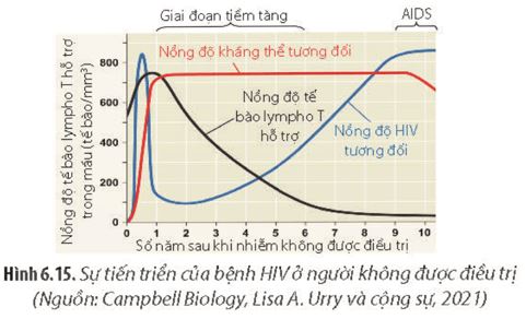Giải Chuyên đề Sinh học 11 Chân trời sáng tạo bài 6