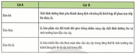 Giải Chuyên đề Sinh học 11 Chân trời sáng tạo bài Ôn tập chuyên đề 1