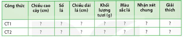 Giải Chuyên đề Sinh học 11 Kết nối tri thức bài 4