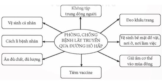 Giải Chuyên đề Sinh học 11 Kết nối tri thức bài 7