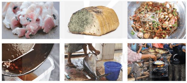 Giải Chuyên đề Sinh học 11 Kết nối tri thức bài 9