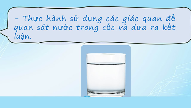 Giáo án PowerPoint Khoa học 4