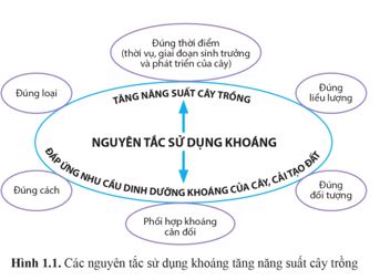 Giải Chuyên đề Sinh học 11 Cánh diều bài 1