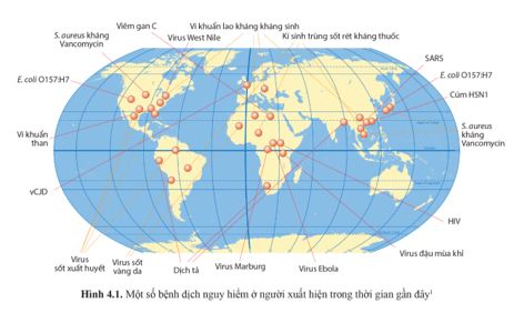 Giải Chuyên đề Sinh học 11 Cánh diều bài 4