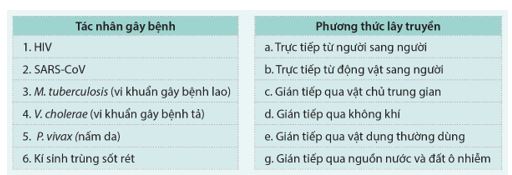 Giải Chuyên đề Sinh học 11 Cánh diều bài 5
