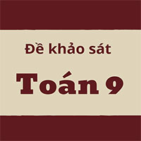 Đề khảo sát Toán 9 trường Archimedes 
