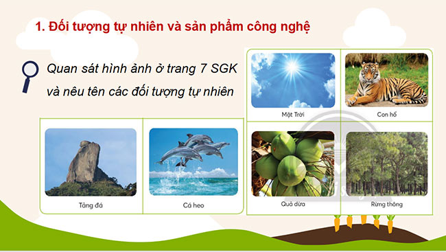 Công nghệ 3 Chân trời sáng tạo