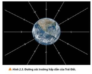 Giải Chuyên đề Vật lí 11 Chân trời sáng tạo bài 2