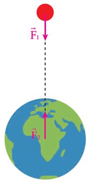 Giải Chuyên đề Vật lí 11 Kết nối tri thức bài 1
