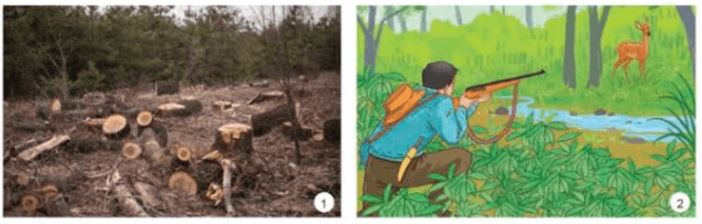 Giải Chuyên đề Kinh tế Pháp luật 11 Kết nối tri thức bài 1