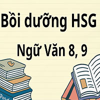 Tài liệu bồi dưỡng học sinh giỏi Ngữ văn lớp 8–9