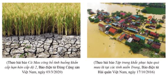 Giải Chuyên đề Kinh tế Pháp luật 11 Cánh diều bài 1