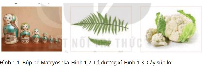 Giải Chuyên đề Tin học 11 Kết nối tri thức bài 1