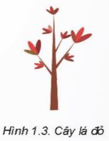 Giải Chuyên đề Tin học 11 Kết nối tri thức bài 1: Giới thiệu phần mềm vẽ trang trí