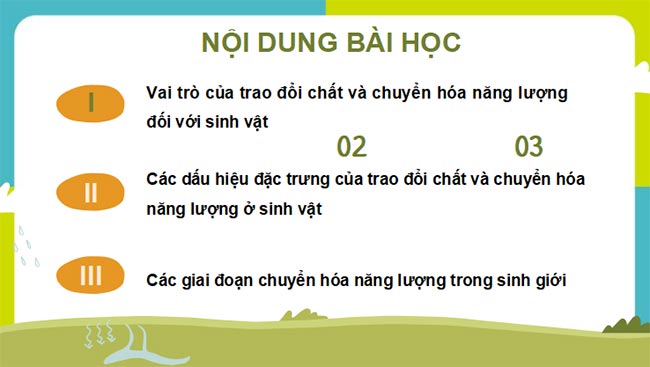 PowerPoint Sinh học 11 Bài 1 Kết nối tri thức