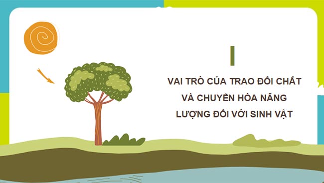 PowerPoint Sinh học 11 Bài 1 Kết nối tri thức