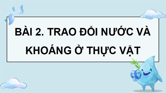 PowerPoint Sinh học 11 Bài 2 Kết nối tri thức