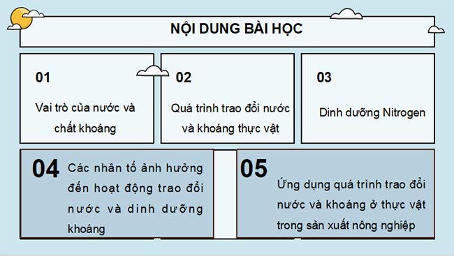 PowerPoint Sinh học 11 Bài 2 Kết nối tri thức