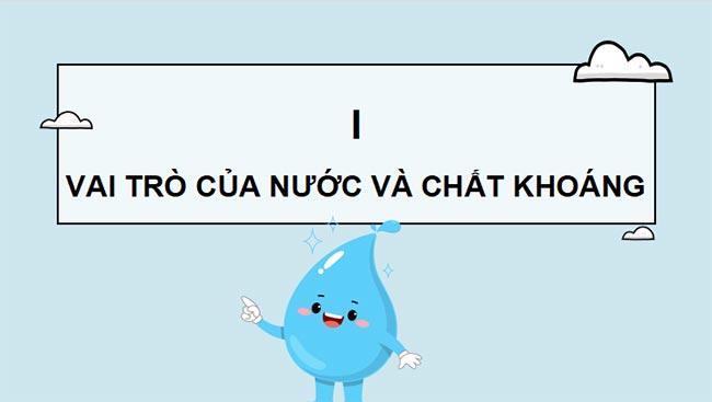 PowerPoint Sinh học 11 Bài 2 Kết nối tri thức