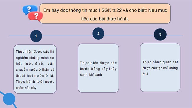 PowerPoint Sinh học 11 Bài 3 Kết nối tri thức