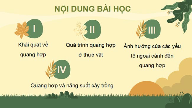 PowerPoint Sinh học 11 Bài 4 Kết nối tri thức