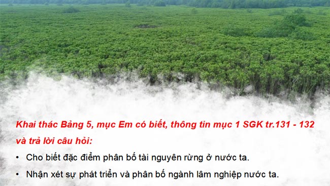 PowerPoint Địa lí 9 Bài 5 Kết nối tri thức