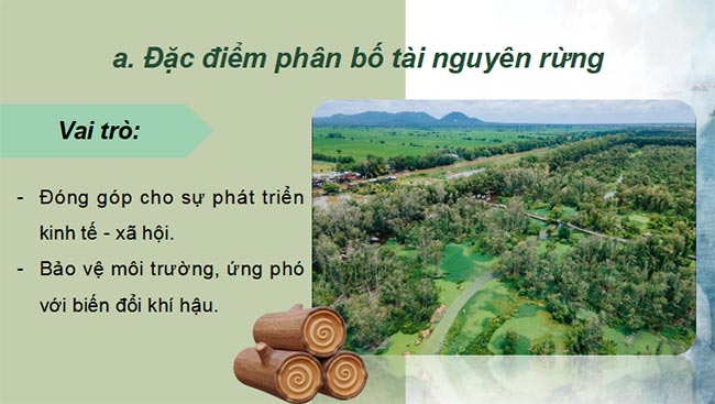 PowerPoint Địa lí 9 Bài 5 Kết nối tri thức