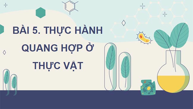 PowerPoint Sinh học 11 Bài 5 Kết nối tri thức