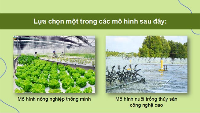 PowerPoint Địa lí 9 Bài 6 Kết nối tri thức