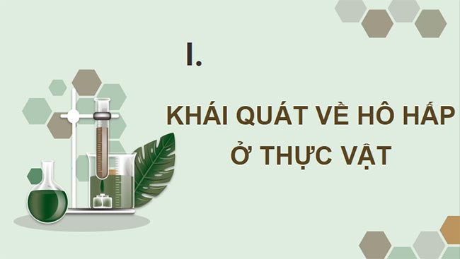 PowerPoint Sinh học 11 Bài 6 Kết nối tri thức